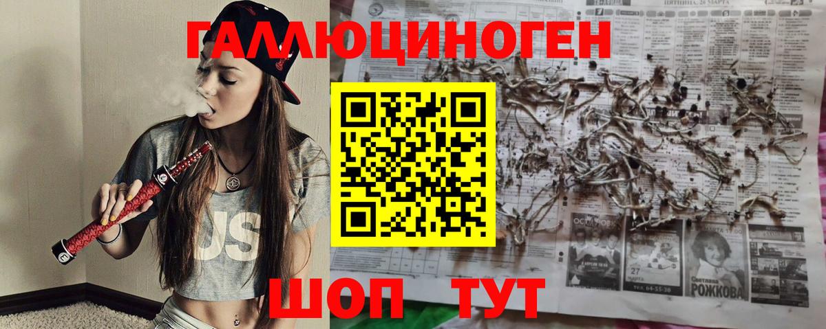 Галлюциногенные грибы Psilocybine cubensis  Вход с VPN  Сосновоборск  Галлюциногенные грибы MAGIC MUSHROOMS 